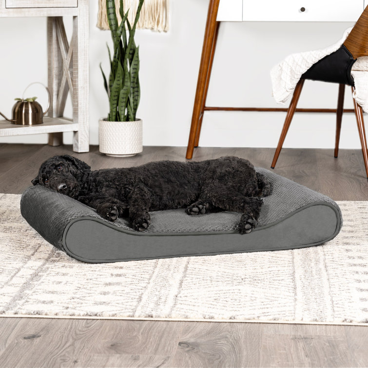 Wayfair canada best sale dog beds